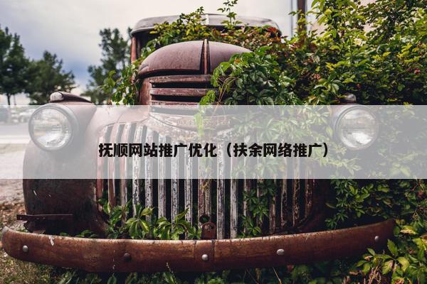 抚顺网站推广优化（扶余网络推广）-第1张图片-冷动云