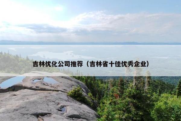 吉林优化公司推荐（吉林省十佳优秀企业）-第1张图片-冷动云