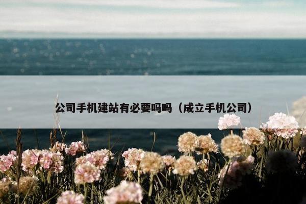 公司手机建站有必要吗吗（成立手机公司）-第1张图片-冷动云