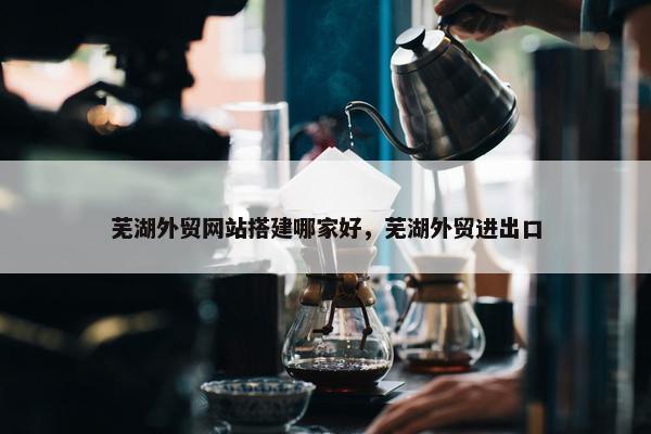 芜湖外贸网站搭建哪家好，芜湖外贸进出口-第1张图片-冷动云