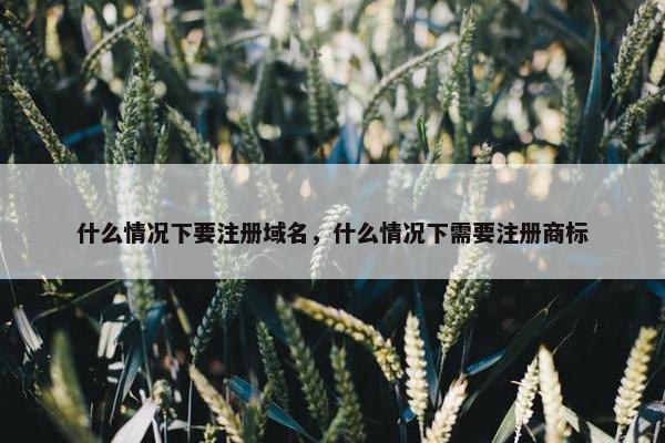 什么情况下要注册域名，什么情况下需要注册商标-第1张图片-冷动云