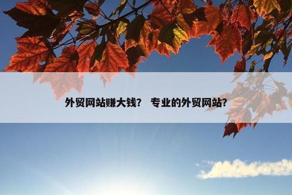 外贸网站赚大钱？ 专业的外贸网站？-第1张图片-冷动云