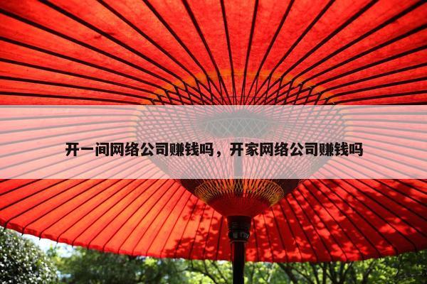 开一间网络公司赚钱吗，开家网络公司赚钱吗-第1张图片-冷动云