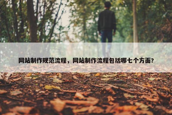 网站制作规范流程，网站制作流程包括哪七个方面?-第1张图片-冷动云
