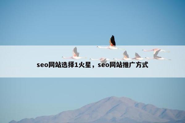 seo网站选择1火星，seo网站推广方式-第1张图片-冷动云