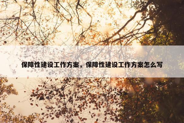 保障性建设工作方案，保障性建设工作方案怎么写-第1张图片-冷动云