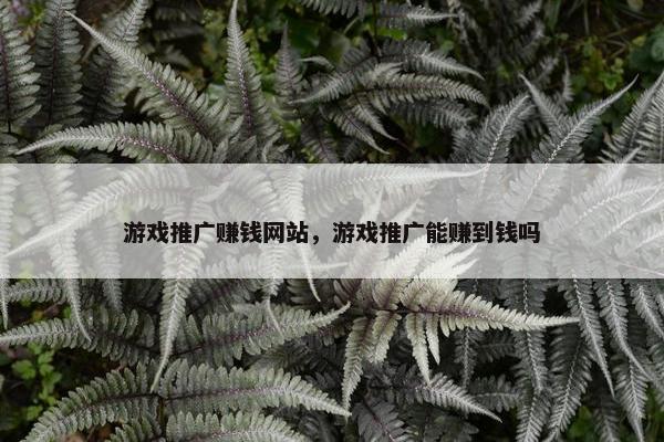游戏推广赚钱网站，游戏推广能赚到钱吗-第1张图片-冷动云