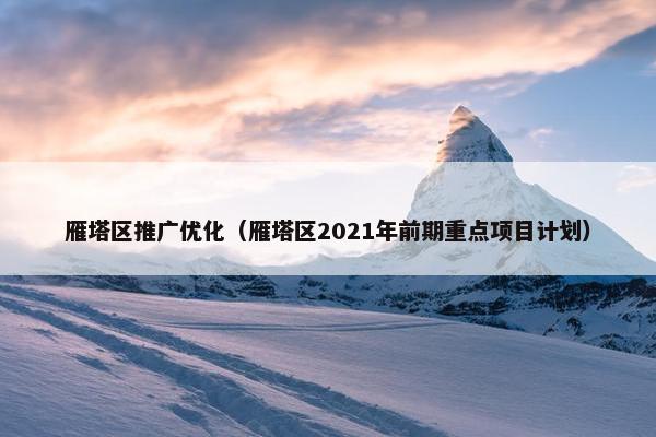 雁塔区推广优化（雁塔区2021年前期重点项目计划）-第1张图片-冷动云