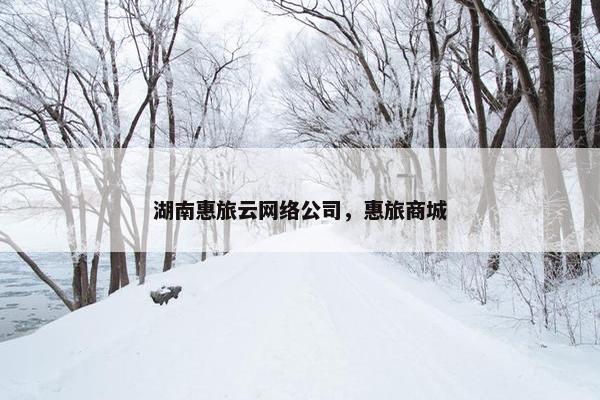 湖南惠旅云网络公司，惠旅商城-第1张图片-冷动云