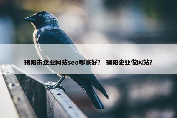 揭阳市企业网站seo哪家好？ 揭阳企业做网站？-第1张图片-冷动云