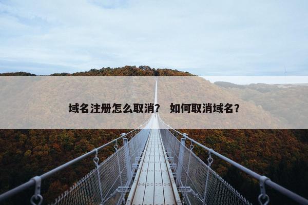 域名注册怎么取消？ 如何取消域名？-第1张图片-冷动云