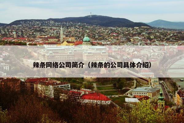 辣条网络公司简介（辣条的公司具体介绍）-第1张图片-冷动云