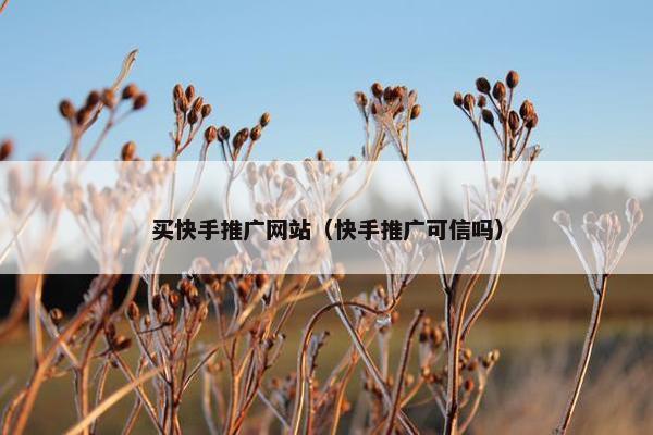 买快手推广网站（快手推广可信吗）-第1张图片-冷动云