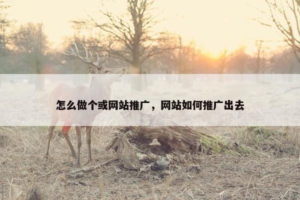 怎么做个或网站推广，网站如何推广出去-第1张图片-冷动云