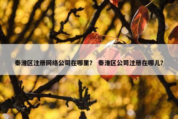 秦淮区注册网络公司在哪里？ 秦淮区公司注册在哪儿？-第1张图片-冷动云