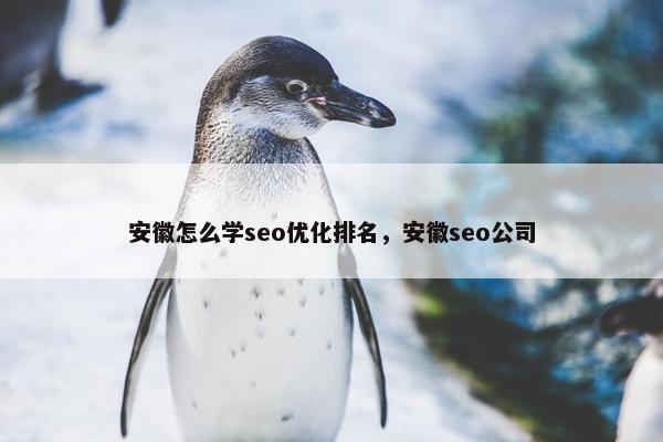 安徽怎么学seo优化排名，安徽seo公司-第1张图片-冷动云