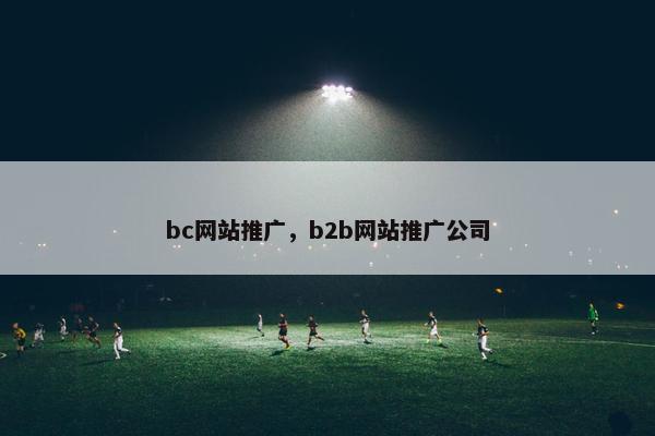 bc网站推广，b2b网站推广公司-第1张图片-冷动云