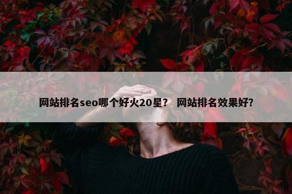 网站排名seo哪个好火20星？ 网站排名效果好？-第1张图片-冷动云