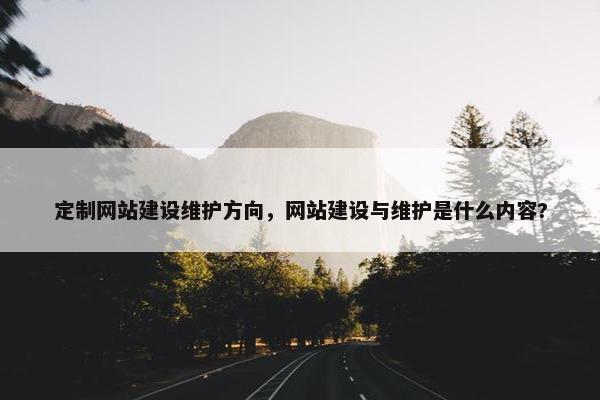 定制网站建设维护方向，网站建设与维护是什么内容?-第1张图片-冷动云