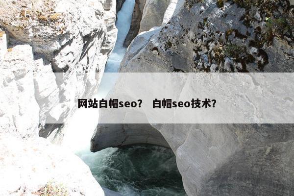 网站白帽seo？ 白帽seo技术？-第1张图片-冷动云
