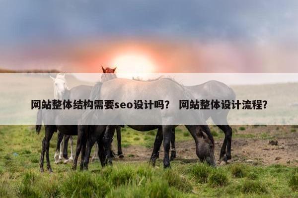 网站整体结构需要seo设计吗？ 网站整体设计流程？-第1张图片-冷动云