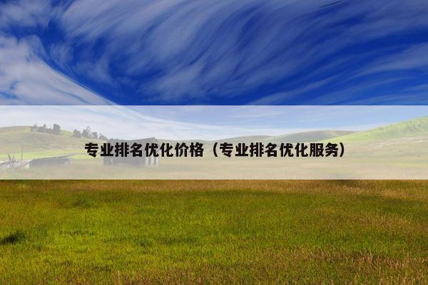 专业排名优化价格（专业排名优化服务）-第1张图片-冷动云