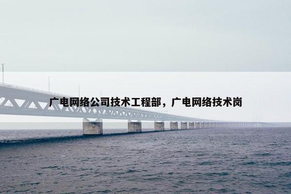 广电网络公司技术工程部，广电网络技术岗-第1张图片-冷动云