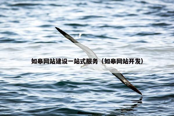 如皋网站建设一站式服务（如皋网站开发）-第1张图片-冷动云