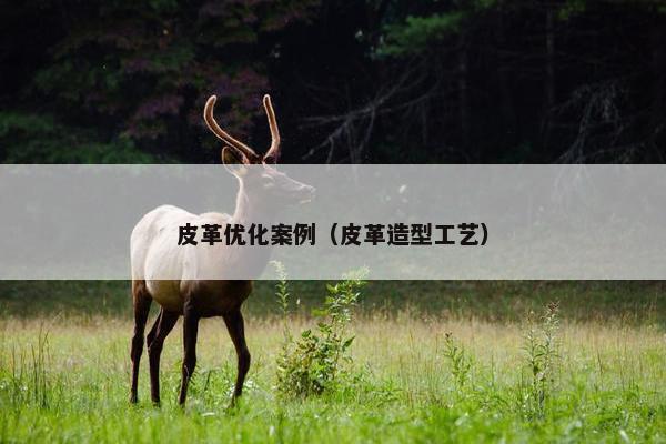 皮革优化案例（皮革造型工艺）-第1张图片-冷动云