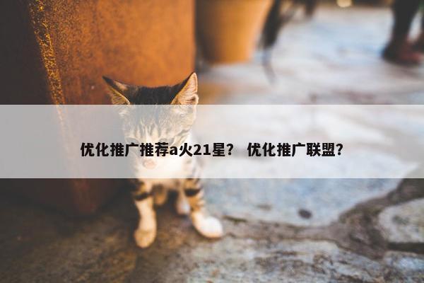 优化推广推荐a火21星？ 优化推广联盟？-第1张图片-冷动云