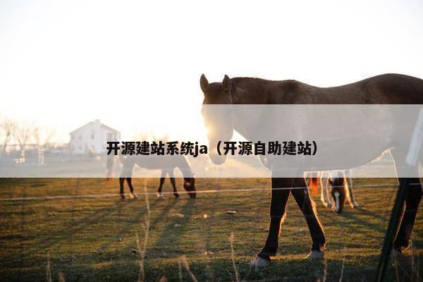 开源建站系统ja（开源自助建站）-第1张图片-冷动云