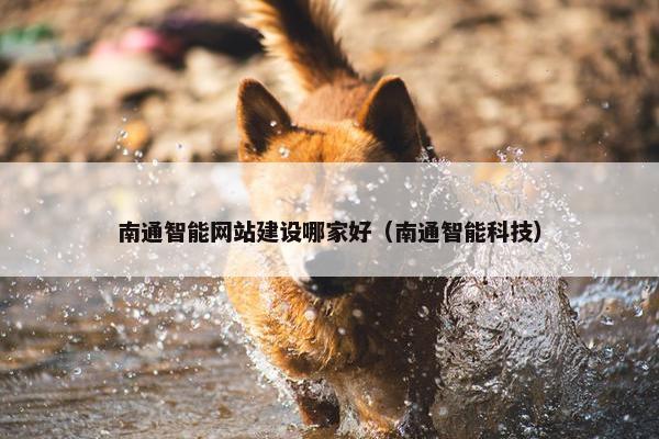 南通智能网站建设哪家好（南通智能科技）-第1张图片-冷动云