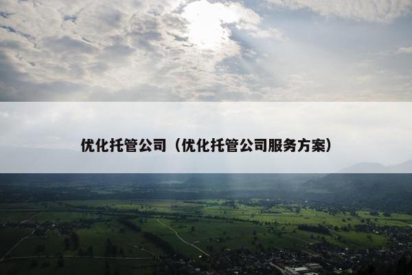 优化托管公司（优化托管公司服务方案）-第1张图片-冷动云