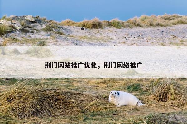 荆门网站推广优化，荆门网络推广-第1张图片-冷动云