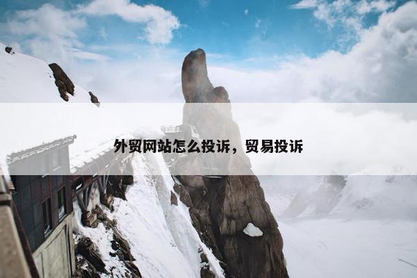 外贸网站怎么投诉，贸易投诉-第1张图片-冷动云
