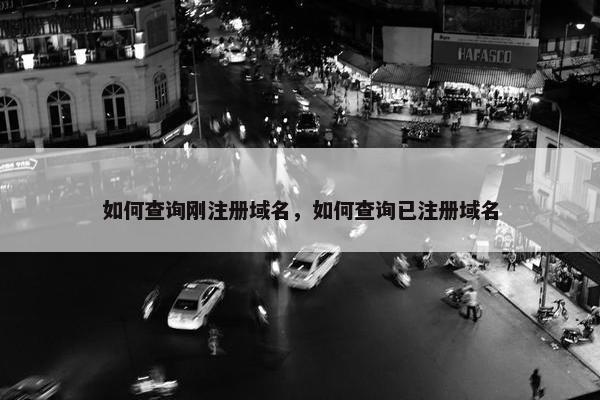 如何查询刚注册域名，如何查询已注册域名-第1张图片-冷动云