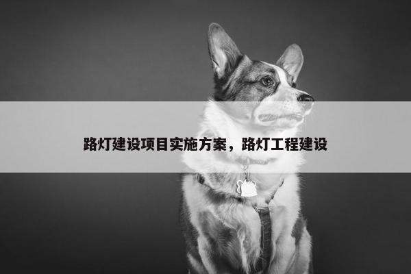 路灯建设项目实施方案，路灯工程建设-第1张图片-冷动云