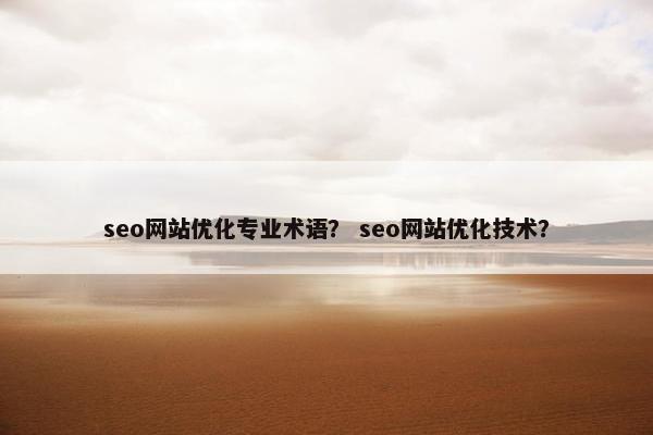 seo网站优化专业术语？ seo网站优化技术？-第1张图片-冷动云