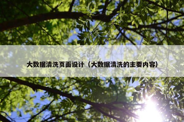 大数据清洗页面设计（大数据清洗的主要内容）-第1张图片-冷动云
