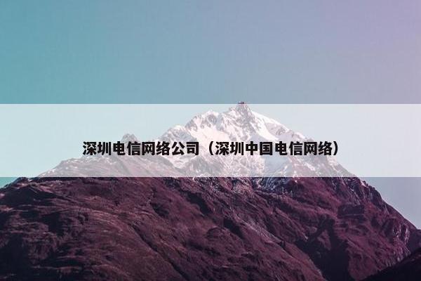 深圳电信网络公司（深圳中国电信网络）-第1张图片-冷动云