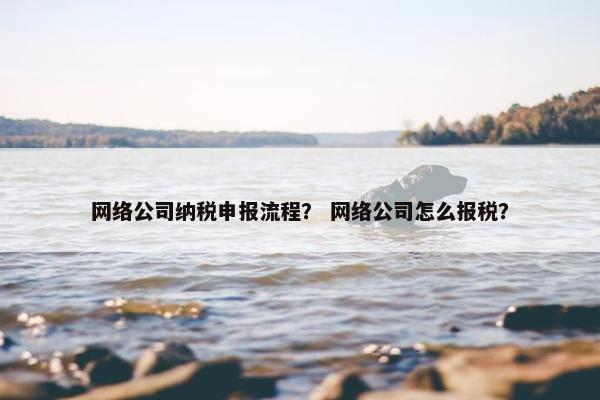 网络公司纳税申报流程？ 网络公司怎么报税？-第1张图片-冷动云