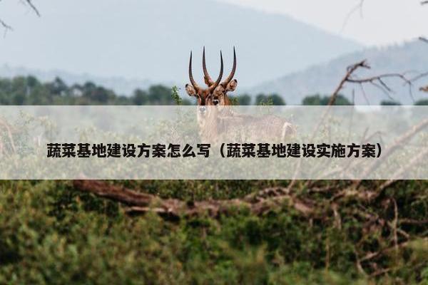 蔬菜基地建设方案怎么写（蔬菜基地建设实施方案）-第1张图片-冷动云