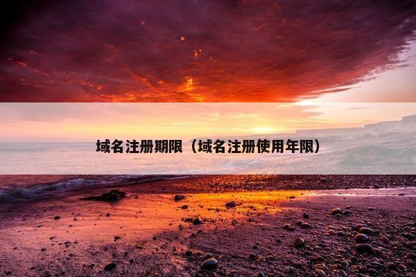 域名注册期限（域名注册使用年限）-第1张图片-冷动云