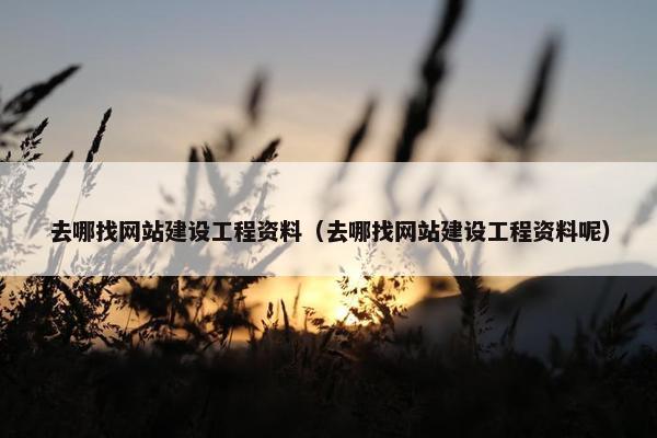 去哪找网站建设工程资料（去哪找网站建设工程资料呢）-第1张图片-冷动云