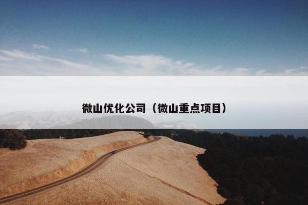 微山优化公司（微山重点项目）-第1张图片-冷动云