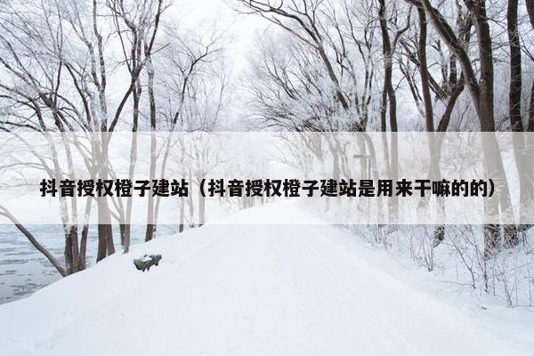 抖音授权橙子建站（抖音授权橙子建站是用来干嘛的的）-第1张图片-冷动云