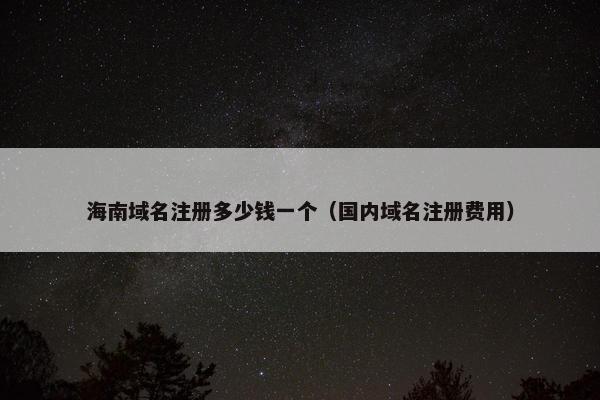 海南域名注册多少钱一个（国内域名注册费用）-第1张图片-冷动云