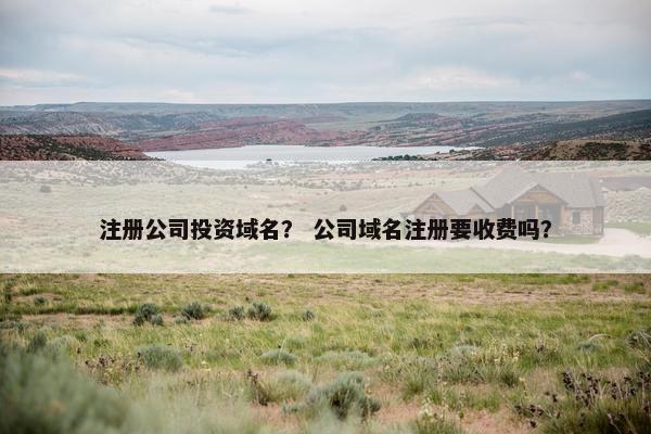 注册公司投资域名？ 公司域名注册要收费吗？-第1张图片-冷动云