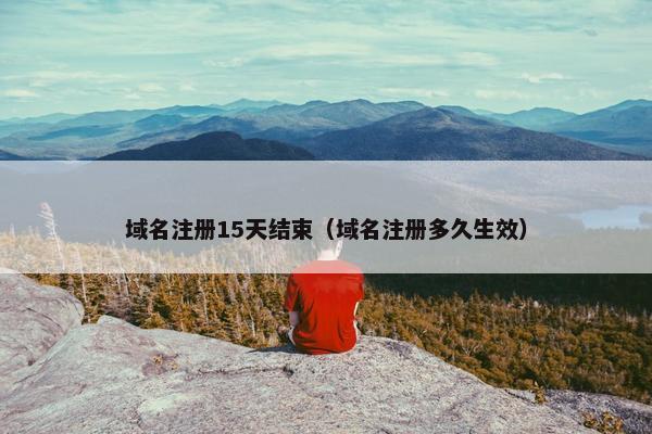 域名注册15天结束（域名注册多久生效）-第1张图片-冷动云