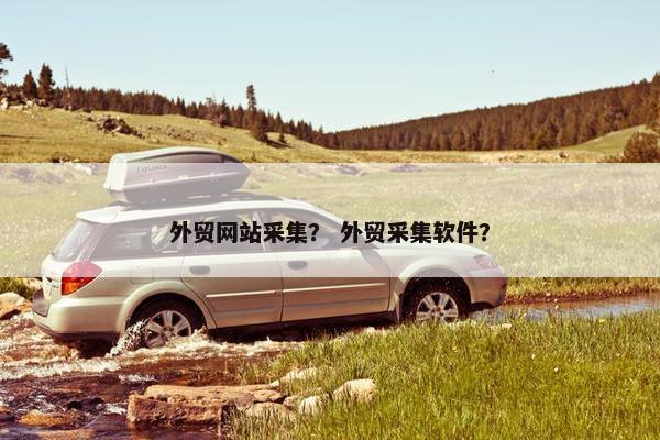 外贸网站采集？ 外贸采集软件？-第1张图片-冷动云